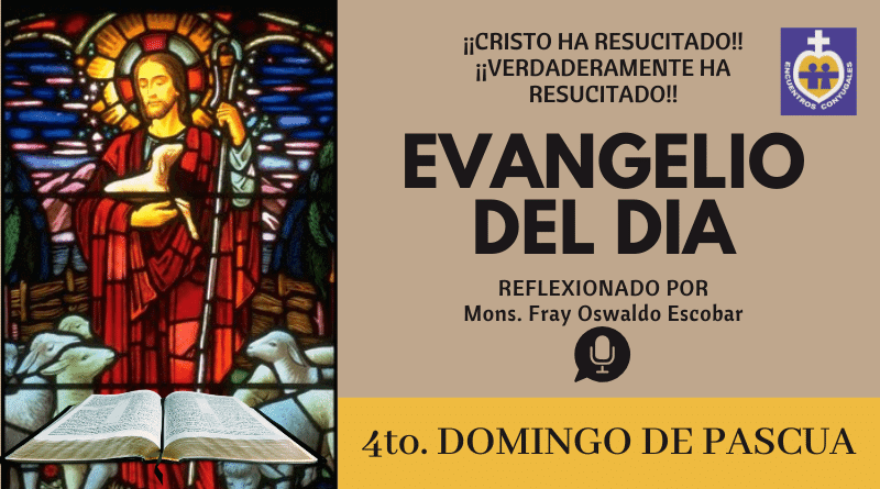 el buen pastor evangelio 4to domingo de pascua