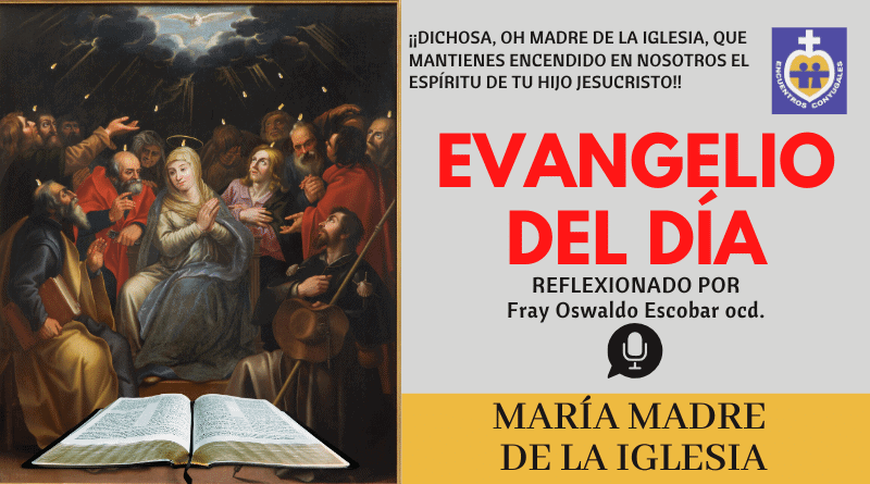 evangelio lunes 1ro. de junio de 2020 - maría madre de la iglesia