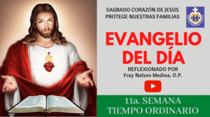 Evangelio décima primera semana - tiempo ordinario