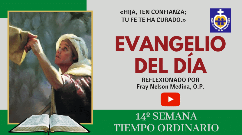 reflexión al evangelio 6 de julio - 14º semana - tiempo ordinario - ciclo A