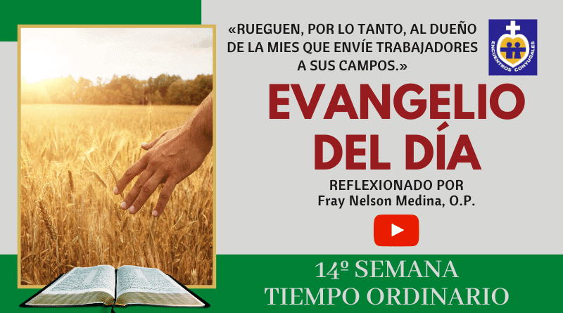 reflexión al evangelio martes 7 de julio de 2020 - 14º semana - tiempo ordinario - ciclo A