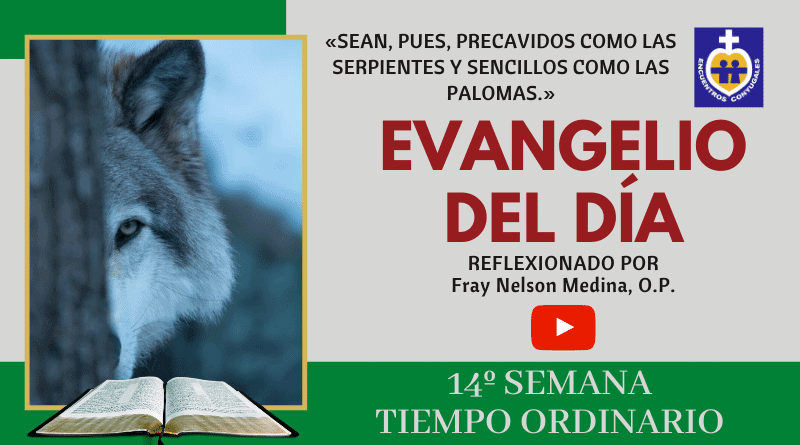 reflexión evangelio viernes 10 - 14º semana - tiempo ordinario - ciclo A