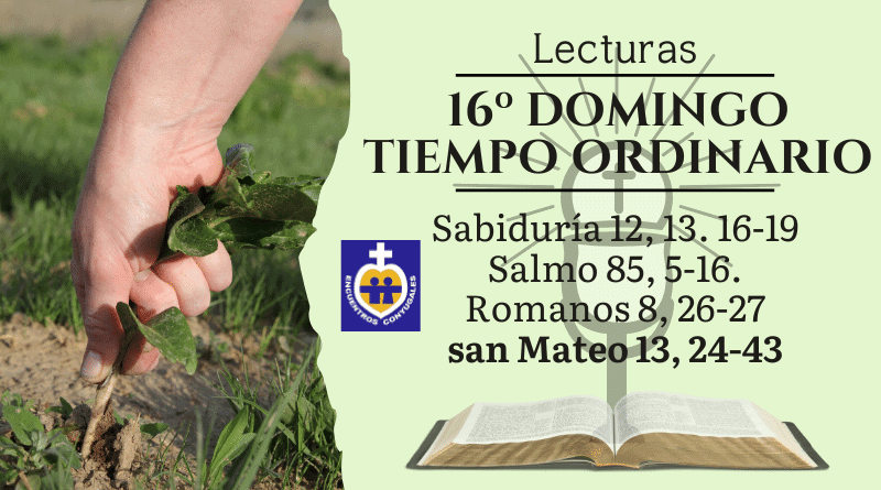 lecturas décimo sexto domingo - tiempo ordinario - ciclo A