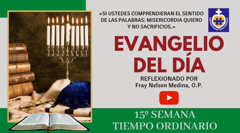 reflexión al evangelio 17 de julio - 15º semana - tiempo ordinario - ciclo A