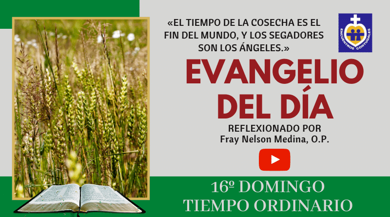 reflexión al evangelio décimo sexto domingo - tiempo ordinario - ciclo A