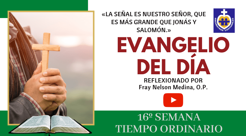 reflexión evangelio 20 de julio - 16º semana - tiempo ordinario - ciclo A