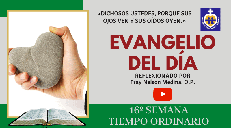 reflexión evangelio 23 de julio - 16º semana - tiempo ordinaro