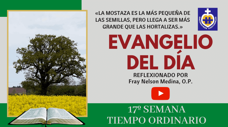 reflexión evangelio lunes 27 de julio - 17º semana - tiempo ordinario - ciclo A