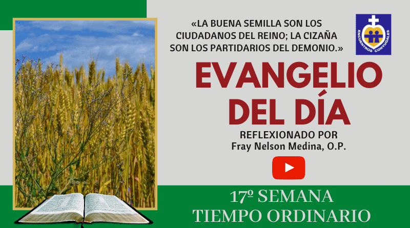 reflexión evangelio 28 de julio - 17º semana - tiempo ordinario - ciclo A