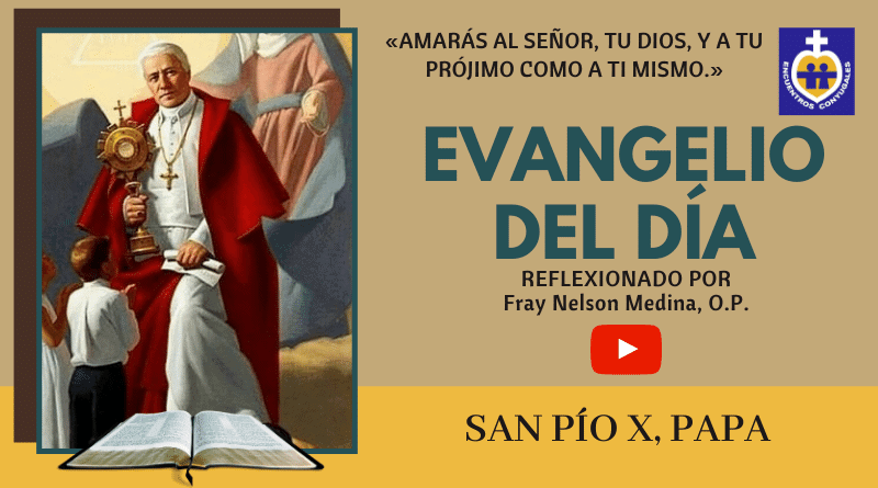 memoria san pío x - papa - reflexión evangelio 21 de agosto - año par