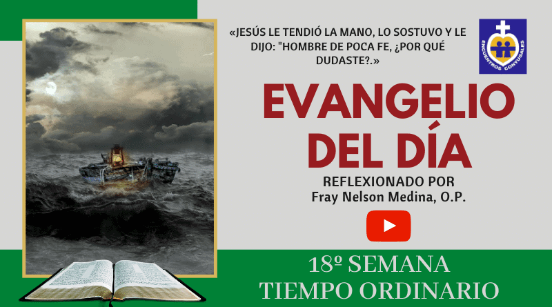 reflexión evangelio 3 de agosto - tiempo ordinario - ciclo A