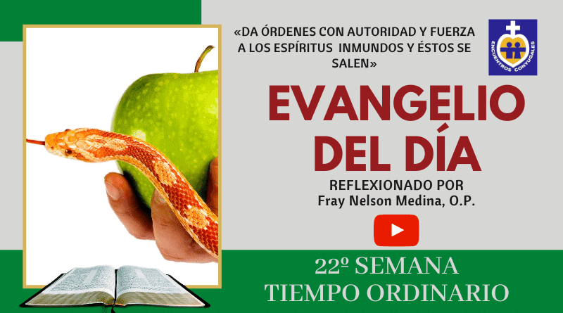 reflexión evangelio 1ro de septiembre - 22º semana - año par