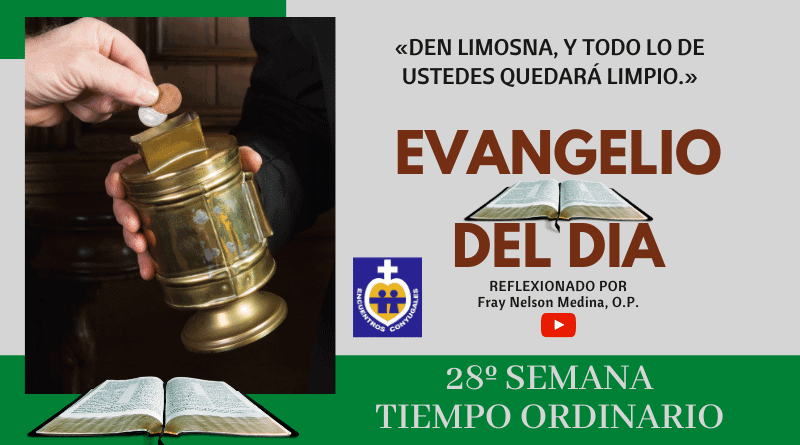 Reflexión Evangelio 13 de octubre | 28º Semana | T. Ordiario - Año Par