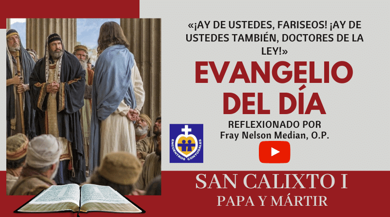 Reflexión Evangelio 14 de octubre | San Calixto I, papa y mártir – Memoria