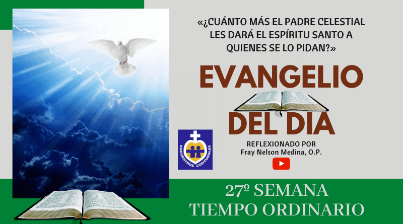 Reflexión Evangelio 8 de octubre | 27º Semana | T. Ordinario - Año Par