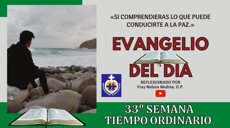 Reflexión Evangelio 19 de noviembre | 33º Semana | T. Ordinario, Año Par