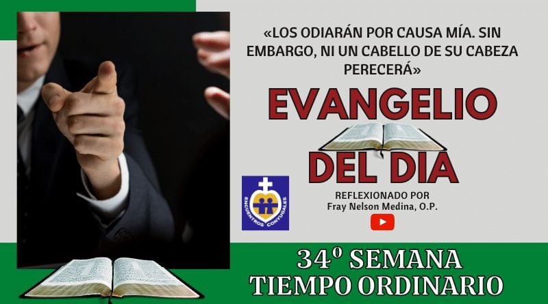 Reflexión Evangelio 25 de noviembre | 34º Semana | T Ordinario – Año Par