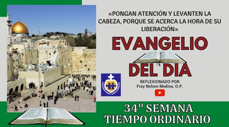 Reflexión Evangelio 26 de noviembre | 34º Semana | Tiempo Ord., Año Par