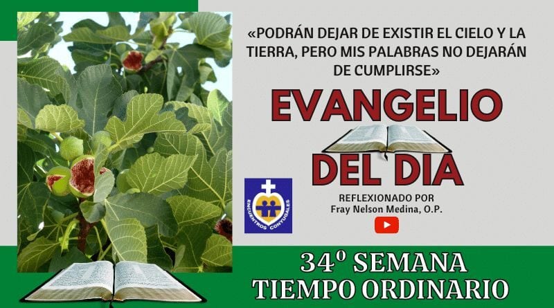 Reflexión Evangelio 27 de noviembre | 34º Semana | T Ordinario – Año Par