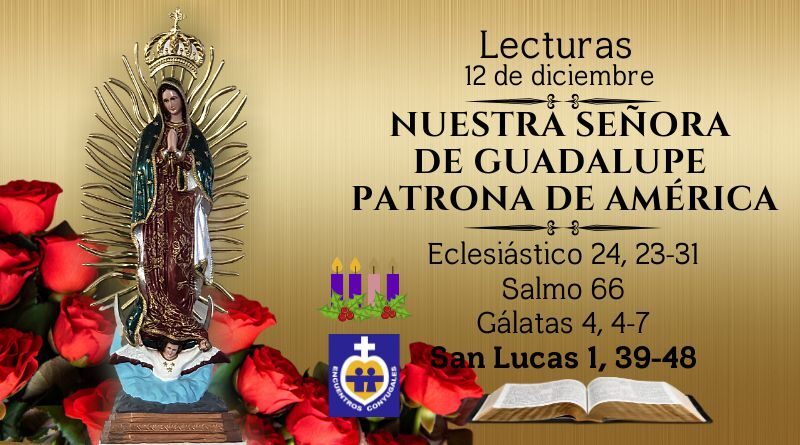 Lecturas sábado 12 de diciembre | Nuestra Señora de Guadalupe