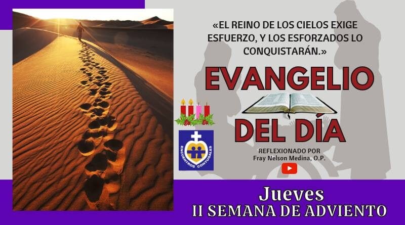 Reflexión Evangelio 10 de diciembre | Jueves II Semana de Adviento | Ciclo A, B y C