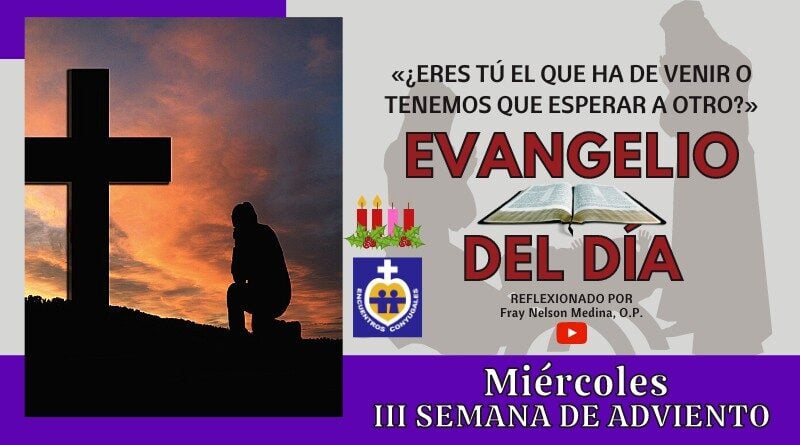 Reflexión Evangelio 16 de diciembre | Miércoles III Semana de Adviento