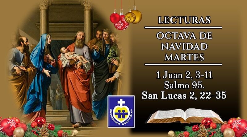 Lecturas martes 29 de diciembre | Día V dentro de la Octava de Navidad