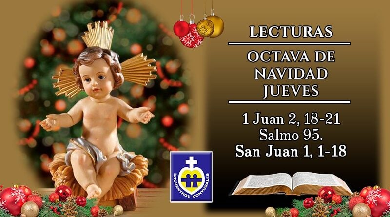 Lecturas jueves 31 de diciembre | Día VII dentro de la Octava de Navidad