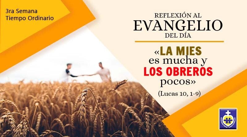 reflexion-evangelio-26-de-enero