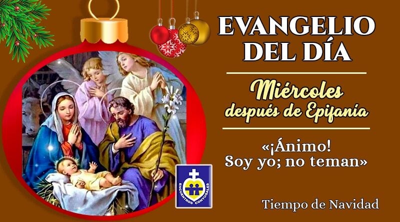 Reflexión Evangelio 6 de Enero | Miércoles después de Epifanía – Navidad